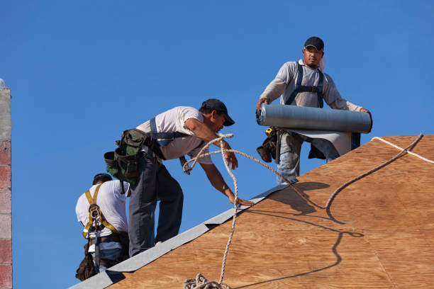 Best New Roof Installation  in Comstock Northwest, MI