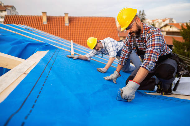 Best Roof Gutter Cleaning  in Comstock Northwest, MI